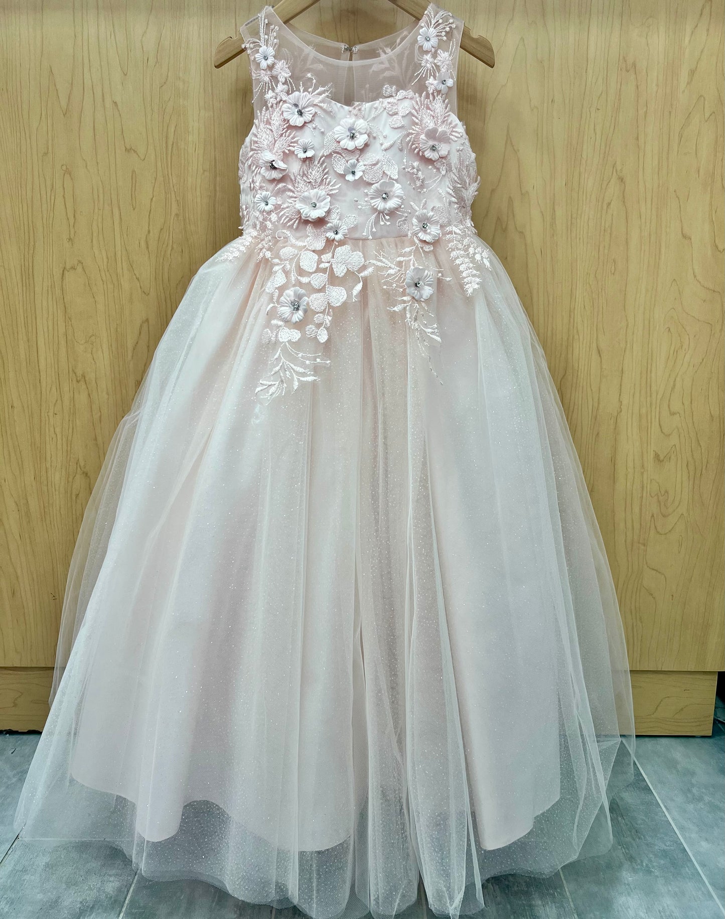 Blush 3D lace Tulle Dress