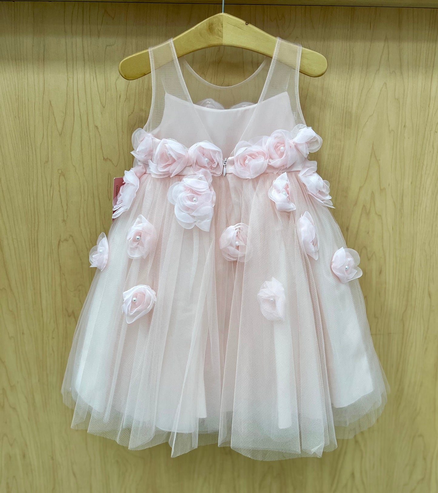 3D Flower blush Dress Y2027 Princess Daliana