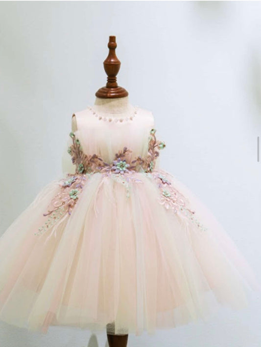 Princess Daliana Lace Bodice Multi Color Dress X23060