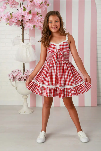 Nathalie cherry Gingham Dress