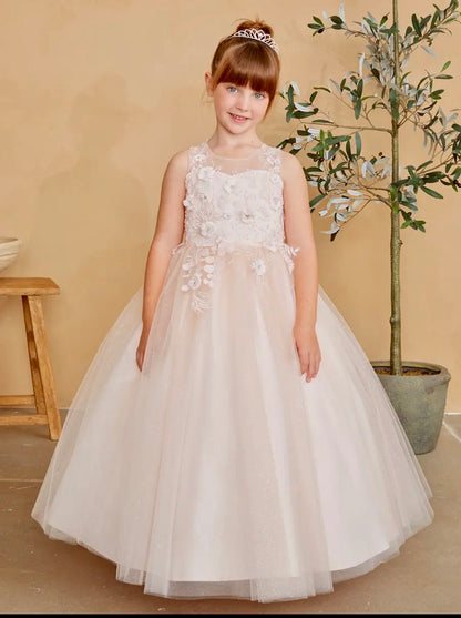 Blush 3D lace Tulle Dress