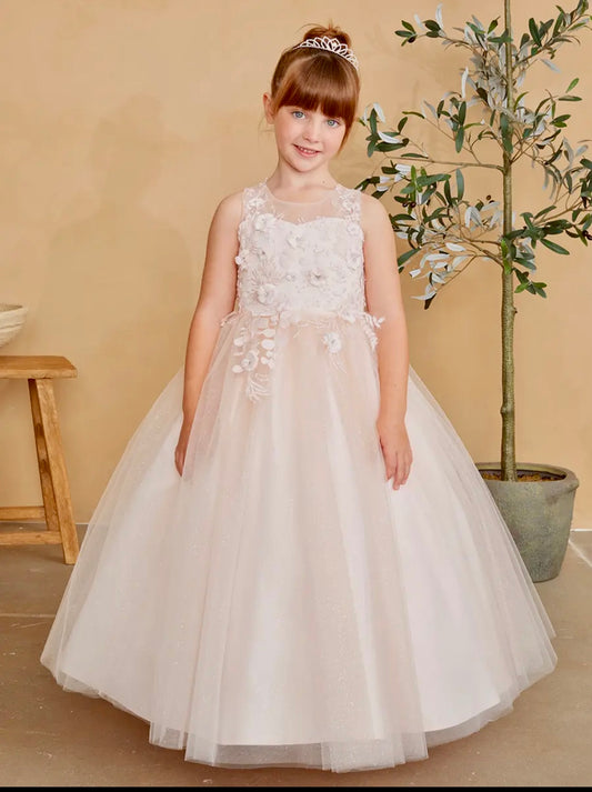 Blush 3D lace Tulle Dress
